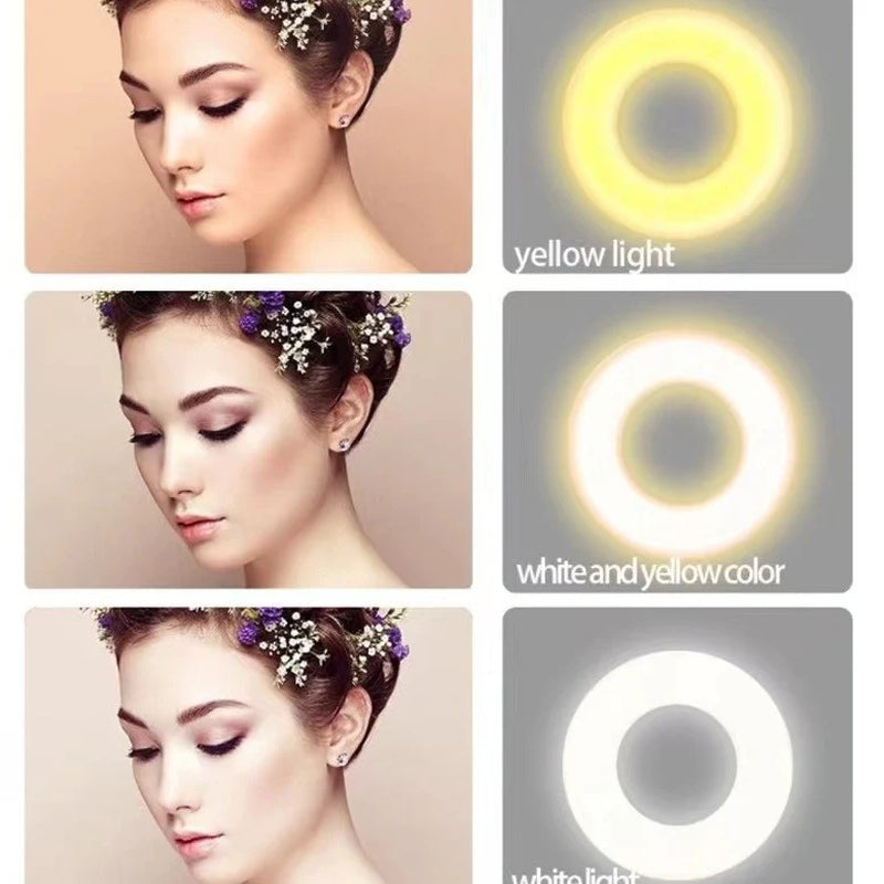 Adjustable Mini LED Magnetic Light with Three Settings